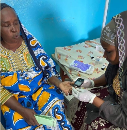 Santé diabète à Mwali I Une journée portes ouvertes pour renforcer la prévention